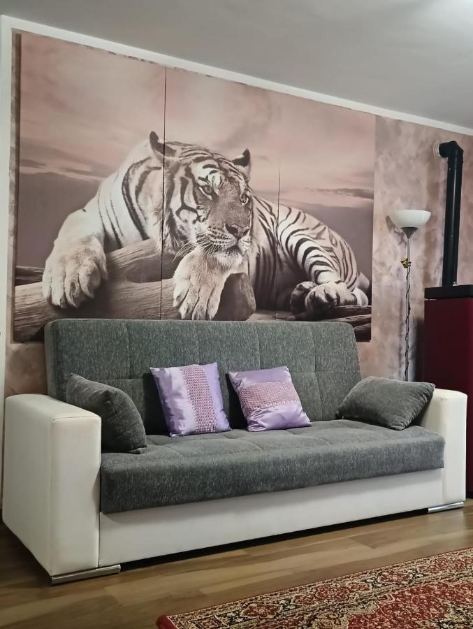 Tenuta Quadrone Cura di Vetralla Bagian luar foto